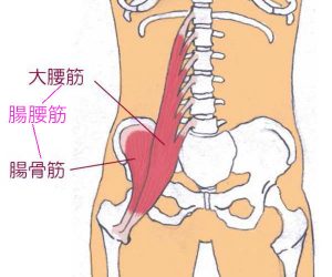 オスグット 六町すまいる整骨院 骨盤 姿勢矯正整体 交通事故治療 むちうち